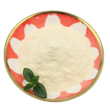 Wholesale natural probiotics Bacillus subtilis supplier from China